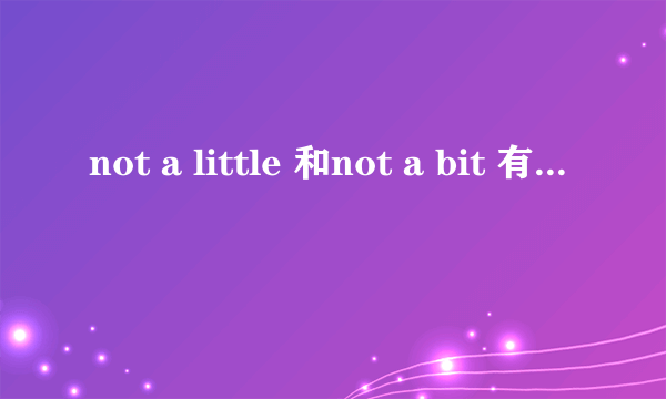 not a little 和not a bit 有什么区别