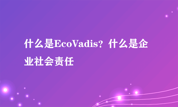 什么是EcoVadis？什么是企业社会责任