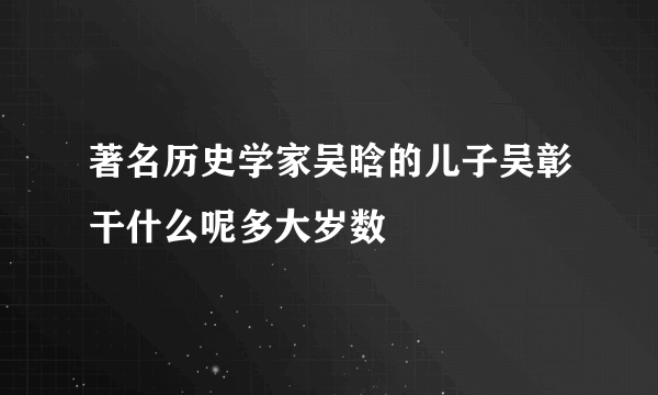 著名历史学家吴晗的儿子吴彰干什么呢多大岁数