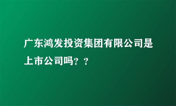 广东鸿发投资集团有限公司是上市公司吗？？