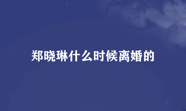 郑晓琳什么时候离婚的