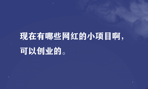 现在有哪些网红的小项目啊，可以创业的。