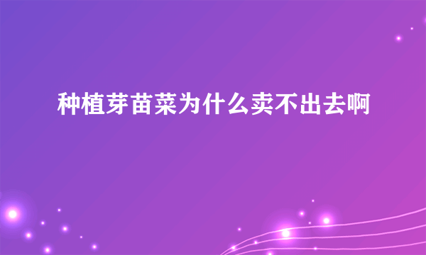 种植芽苗菜为什么卖不出去啊