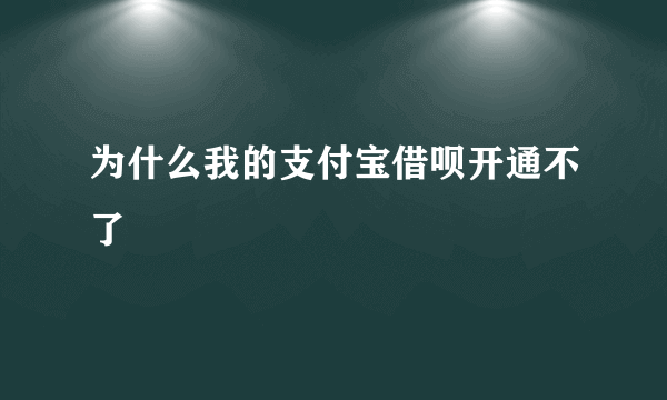 为什么我的支付宝借呗开通不了