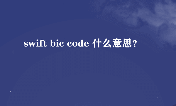 swift bic code 什么意思？