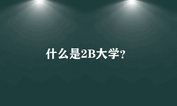 什么是2B大学？