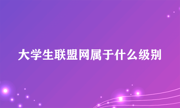 大学生联盟网属于什么级别