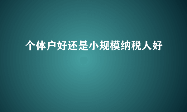 个体户好还是小规模纳税人好