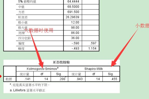 正态性检验怎么看结果?