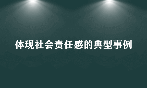 体现社会责任感的典型事例