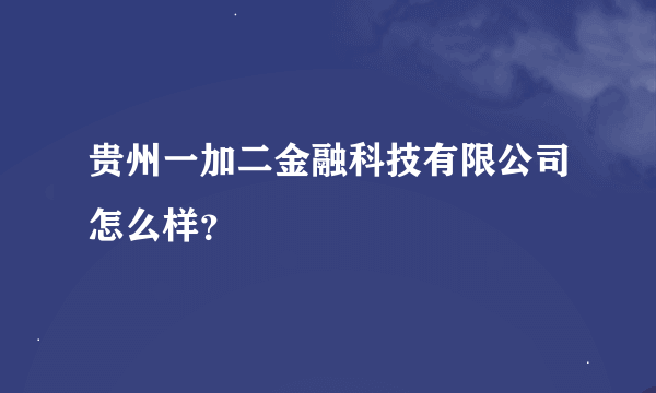 贵州一加二金融科技有限公司怎么样？