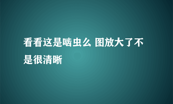 看看这是啮虫么 图放大了不是很清晰