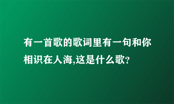 有一首歌的歌词里有一句和你相识在人海,这是什么歌？