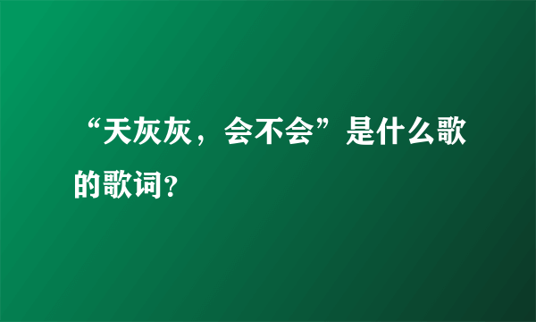 “天灰灰，会不会”是什么歌的歌词？