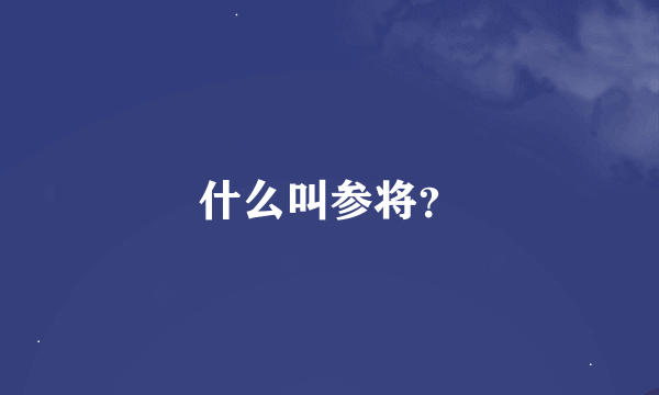 什么叫参将？