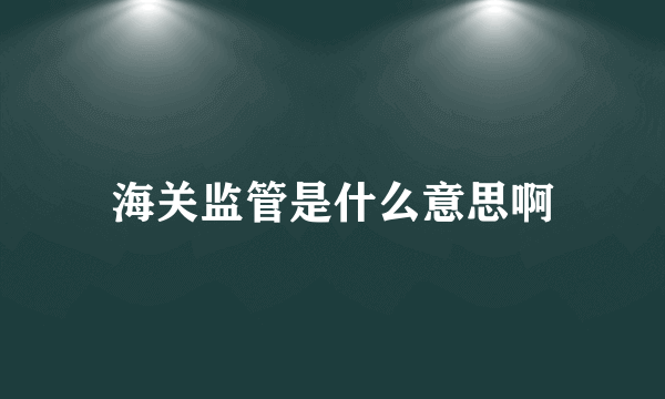 海关监管是什么意思啊