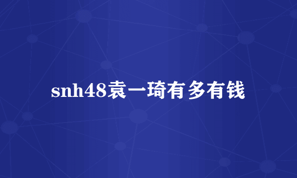 snh48袁一琦有多有钱