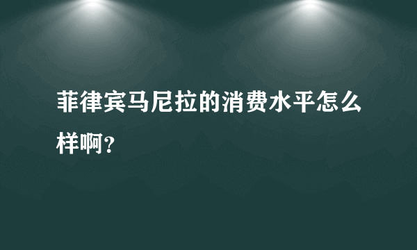 菲律宾马尼拉的消费水平怎么样啊？