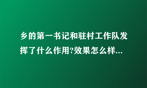 乡的第一书记和驻村工作队发挥了什么作用?效果怎么样?你对改进他们的工作有什么建议？