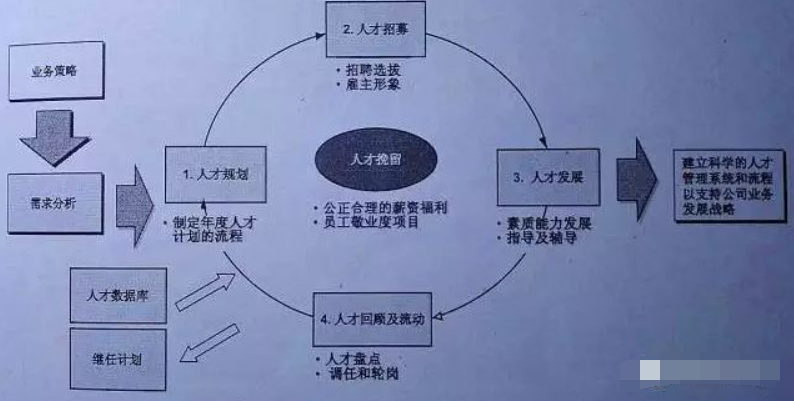 人力资源中的TD, LD, OD有怎样的区别和关联?