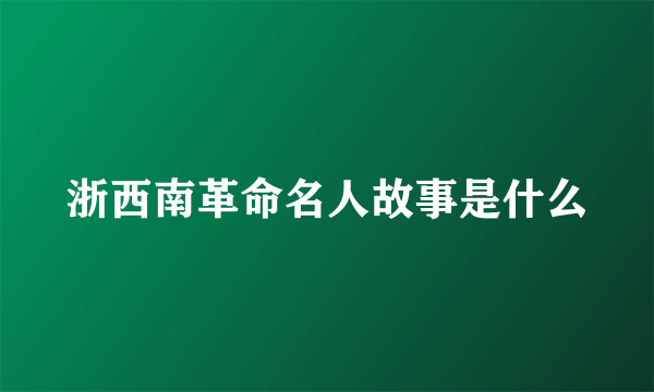 浙西南革命名人故事是什么