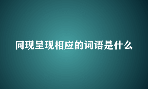 同现呈现相应的词语是什么