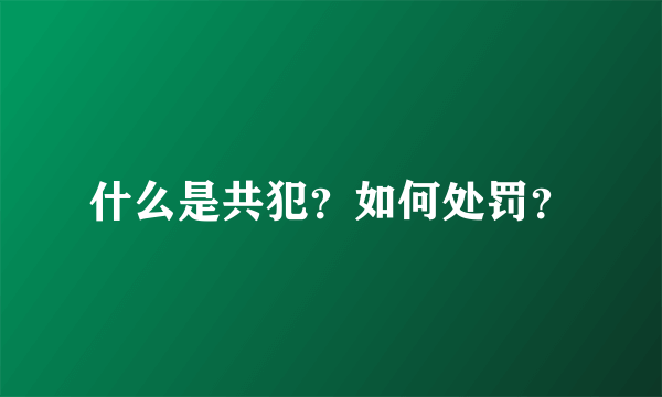 什么是共犯？如何处罚？