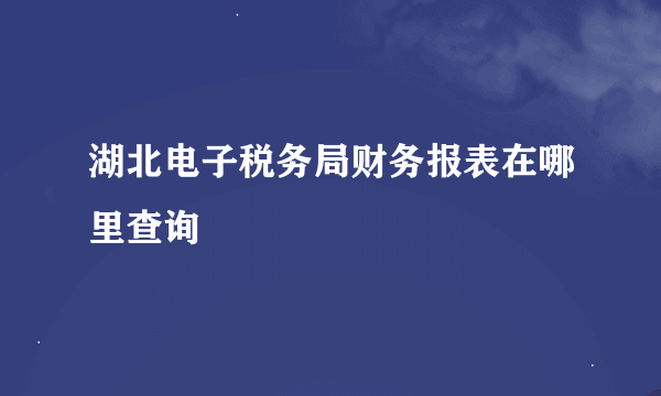 湖北电子税务局财务报表在哪里查询