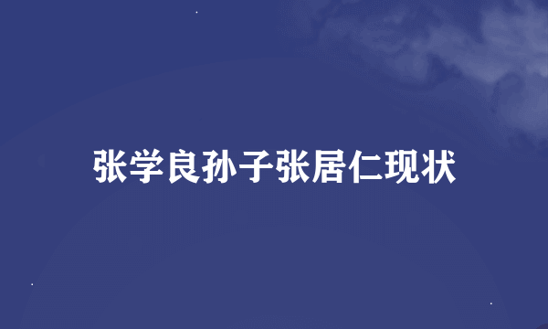 张学良孙子张居仁现状