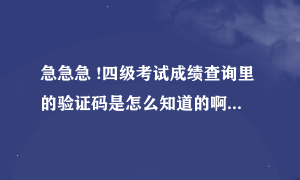 急急急 !四级考试成绩查询里的验证码是怎么知道的啊?我怎么不记得这种东西?!