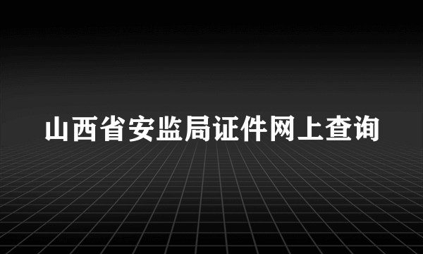 山西省安监局证件网上查询