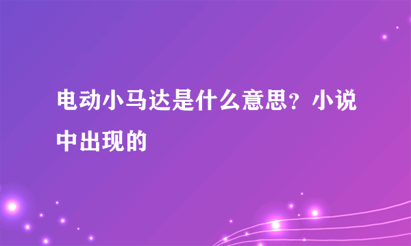 电动小马达是什么意思？小说中出现的