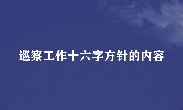 巡察工作十六字方针的内容