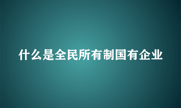 什么是全民所有制国有企业