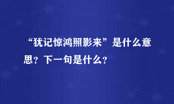 “犹记惊鸿照影来”是什么意思？下一句是什么？