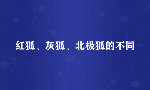 红狐、灰狐、北极狐的不同