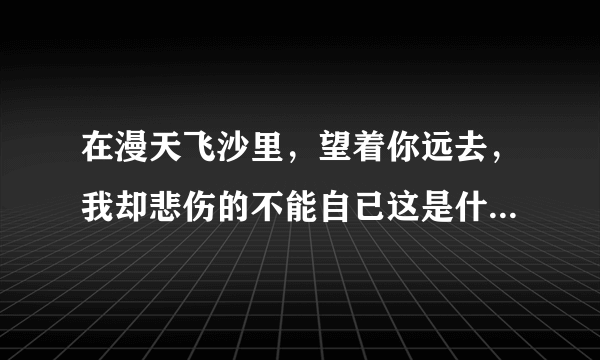 在漫天飞沙里，望着你远去，我却悲伤的不能自已这是什么歌的歌词？