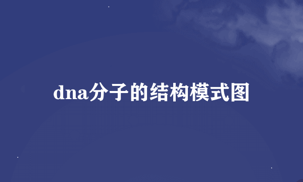 dna分子的结构模式图