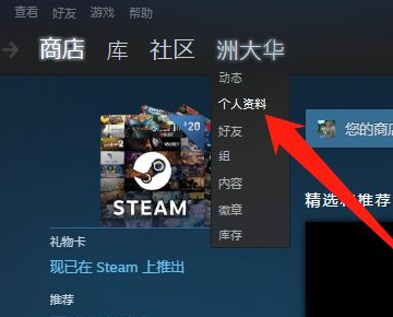 Steam平台个人资料背景怎么弄？