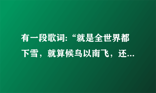 有一段歌词:“就是全世界都下雪，就算候鸟以南飞，还有一个我，痴痴在等你”是什么歌名？