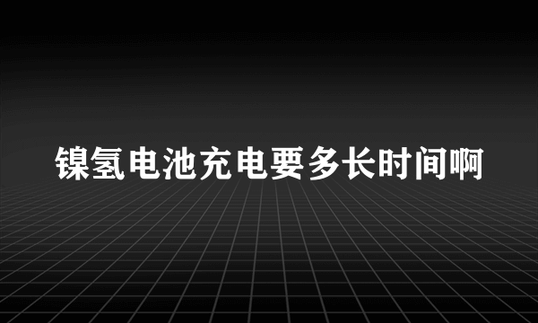 镍氢电池充电要多长时间啊