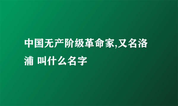 中国无产阶级革命家,又名洛浦 叫什么名字