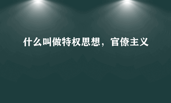 什么叫做特权思想，官僚主义