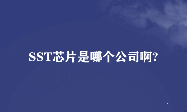 SST芯片是哪个公司啊?