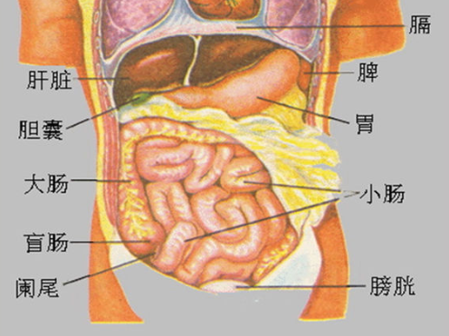 胆在那图