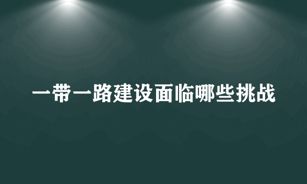 一带一路建设面临哪些挑战