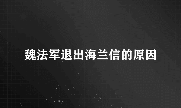 魏法军退出海兰信的原因