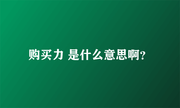 购买力 是什么意思啊？