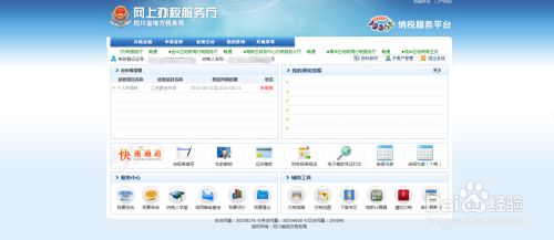 四川税务网上申报流程？