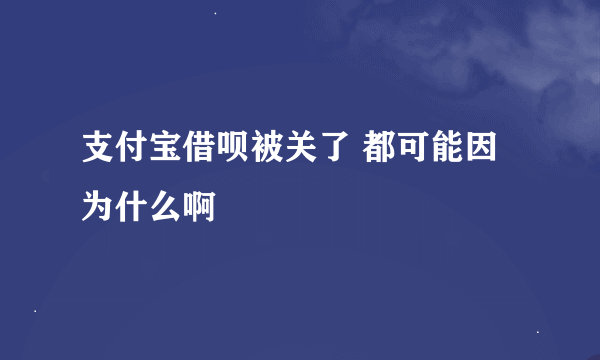 支付宝借呗被关了 都可能因为什么啊